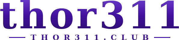 thor311 logo